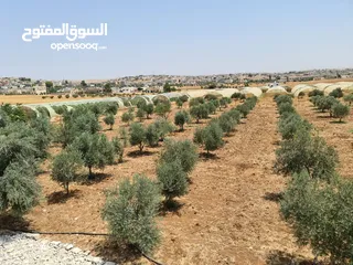 17 ارض مميزه للبيع
