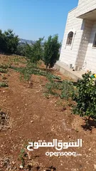  6 فيلا مع أرض حولها للبيع