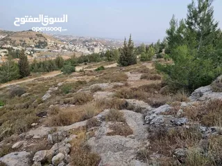  1 ارض للبيع قرب مستشفى دورا الحكومي