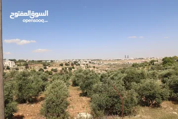 2 (1)ارض للبيع في اجمل مناطق الأردن الفحيص _حوض أبو ركبه _بالقرب من دابوق