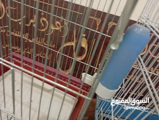  6 قفصين واحد جديد و تاني مستعمل