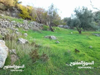  4 قطع اراضي مميزة مطلة غرب عمان