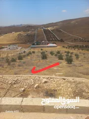  3 أرض للبيع بير ألسعودي