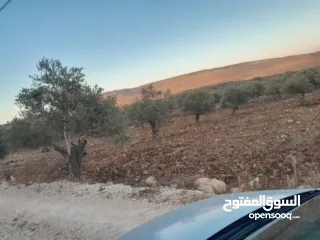  3 ارض البيع موقع ممتاز