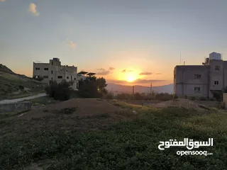  3 لقطة منزلين للبيع   على  ارض 2 دنم في قرية ابو نصير