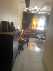  5 شقق الابيع جبل الحديد