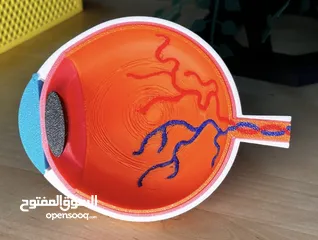  3 مجسمات 3 للطلاب و الجامعات