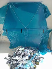  1 طائرة ورقية