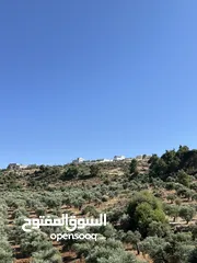  2 قطع اراضي للبيع جرش - سوف مساحات مختلفة / تصلح للاستثمار