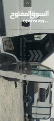  10 عربة خيل في دبي