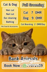  1 cat/dog grooming and boarding حلاقه و الفندق للقطط و کلاب