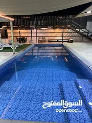  17 مزرعة الطيب