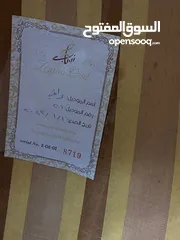  6 عود زرياب للبيع