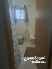  7 استيديوهات مفروشة شامل ماء وكهرباء وانترنت