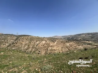  2 دونم ب كوشان مستقل ب اجمل مناطق جرش