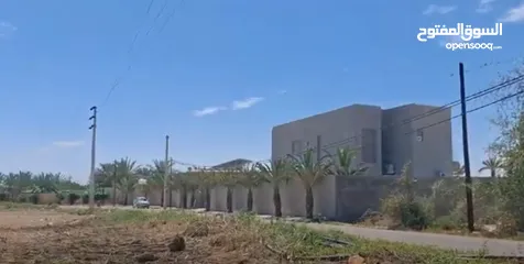  1 أرض استثمارية للبيع لقطة 985 م مناسبة لشاليه الغور غور شميساني للبيع المستعجل