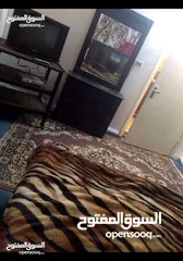  3 شقة مفروشة ستوديو مفروش للايجار الزرقاء