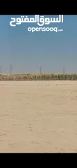  7 للبيع قطعة أرض 10 دونم في ابو الحصاني مخدومه ح5