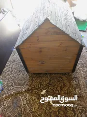  2 كوخ كلب للبيع بسعر مغري