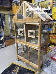  7 عصافير كنار وكوكتيل