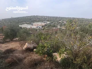  10 حصة 700 متر بالمسقوفة