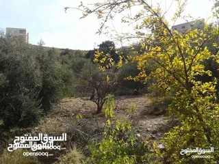  2 ارض ابو السوس مميزة مطلة جدا غرب عمان