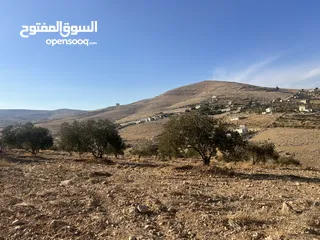  2 بسم الله الرحمن الرحيم  ارض للبيع في صروت مساحه 3531م3 جميع الخدمات ثاني قطعه عن شارع الرئيسي