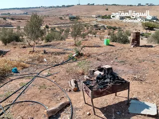  21 لقطة ؛ أرض زراعية مع غرفة على حدود الطفيلة والكرك ، تصلح للاستثمار كمزرعة سياحية أو منتجع سياحي