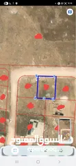  4 بيع حقيقي قطعة أرض وادي حسان 560 م2 يسعر 10 الاف ديما قوشان مستقل خدمات صخريه تصلح لبناء بيت مستقل