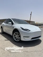  19 Tesla Model Y 2022