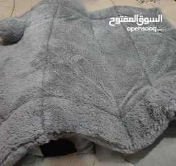  5 سكوتش فولد لونج هير للبيع ..........