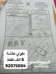  12 اراضي للبيع مخطط طوي عاشة