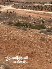  2 للبيع قطعة ارض منطقة نادرة / شرق جرش موقع مميز جدا وبسعر مغري