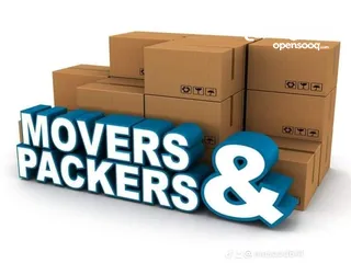  12 Movers and Packers