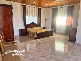  26 شارع الاردن الكمشة العالوك