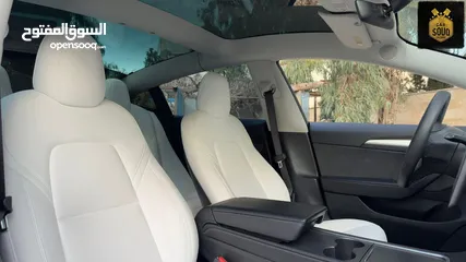  10 Tesla Model 3 Performance  2023