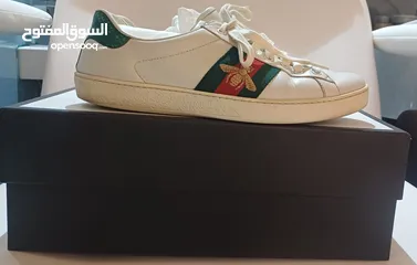  1 Gucci Shoes