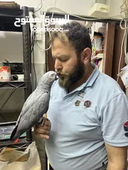  1 كاسكو اسطوة كلام عطيه الكلمة يومين بيعيدها تابع الوصف