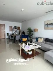  3 Beautiful 1 BHK apartment in Marsa Garden- see View