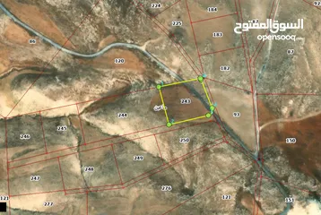  3 مادبا ماعين قطعة أرض زراعية مميزة مطلة على البحر الميت والضفة الغربية بمساحة 21 دونم