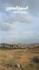  8 أرض البيع منطقة شفا بدران موقع فلل مميز بسعر مغري