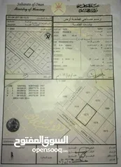  1 من المالك مباشرة:بوشر الضباط نص ارض بسعر مخفص ، او ارض كاملة