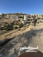  3 ارض واد الزرزير مطله وهادئه