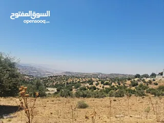  10 ارض للبيع 500 م في اجمل مناطق المملكه بدر الجديده (الغروس الغربي) على شارعين