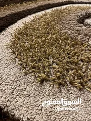  2 سجاد تركي ( شاغي ) للبيع