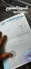  6 هونداي أكسنت
