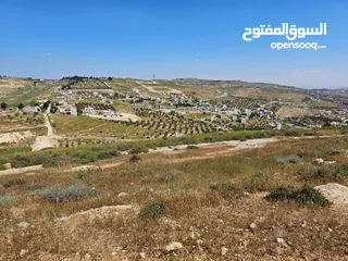  11 أرض سكنية 750 م للبيع في ام رمانه - 900 م عن شارع الأردن