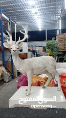  3 deer available uesd good condition