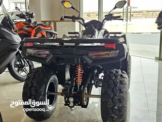  12 LONCIN XWOLF 200 ATV(Quad Bike with Warrenty)