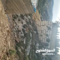 11 ارض 500م2. كوشان طابو اراضي صره دخلة فندق يلدز  اطلاله يصلها شارع ترابي بسعر مغري